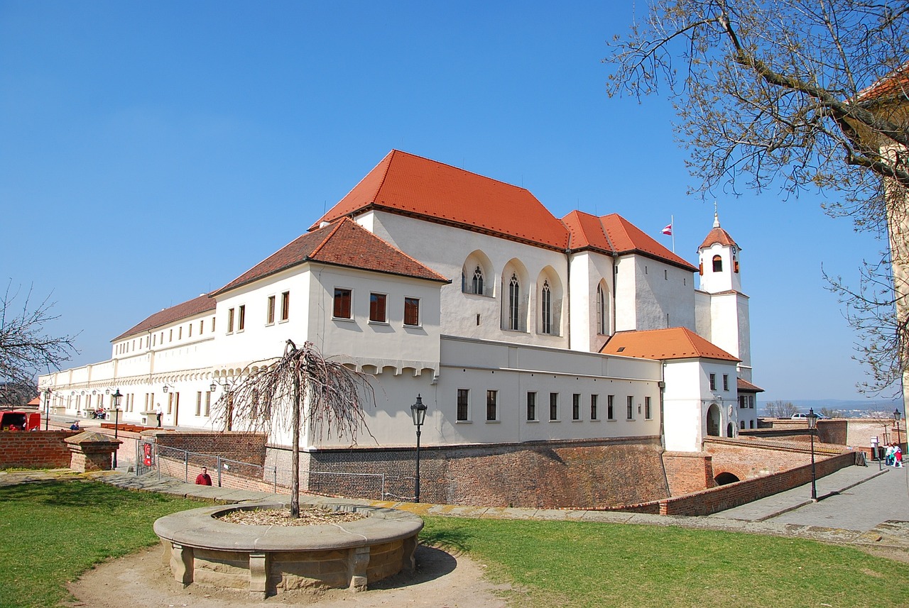 Rok od zahájení činnosti MNA